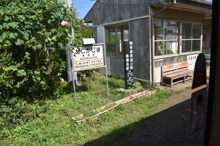 DSC_0413.JPG
