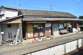 DSC_0416.JPG